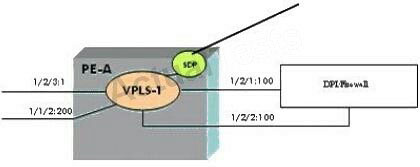 Question reference image